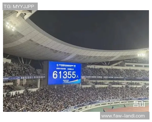 总观众人数突破五百万上座率创历史新高引发热议